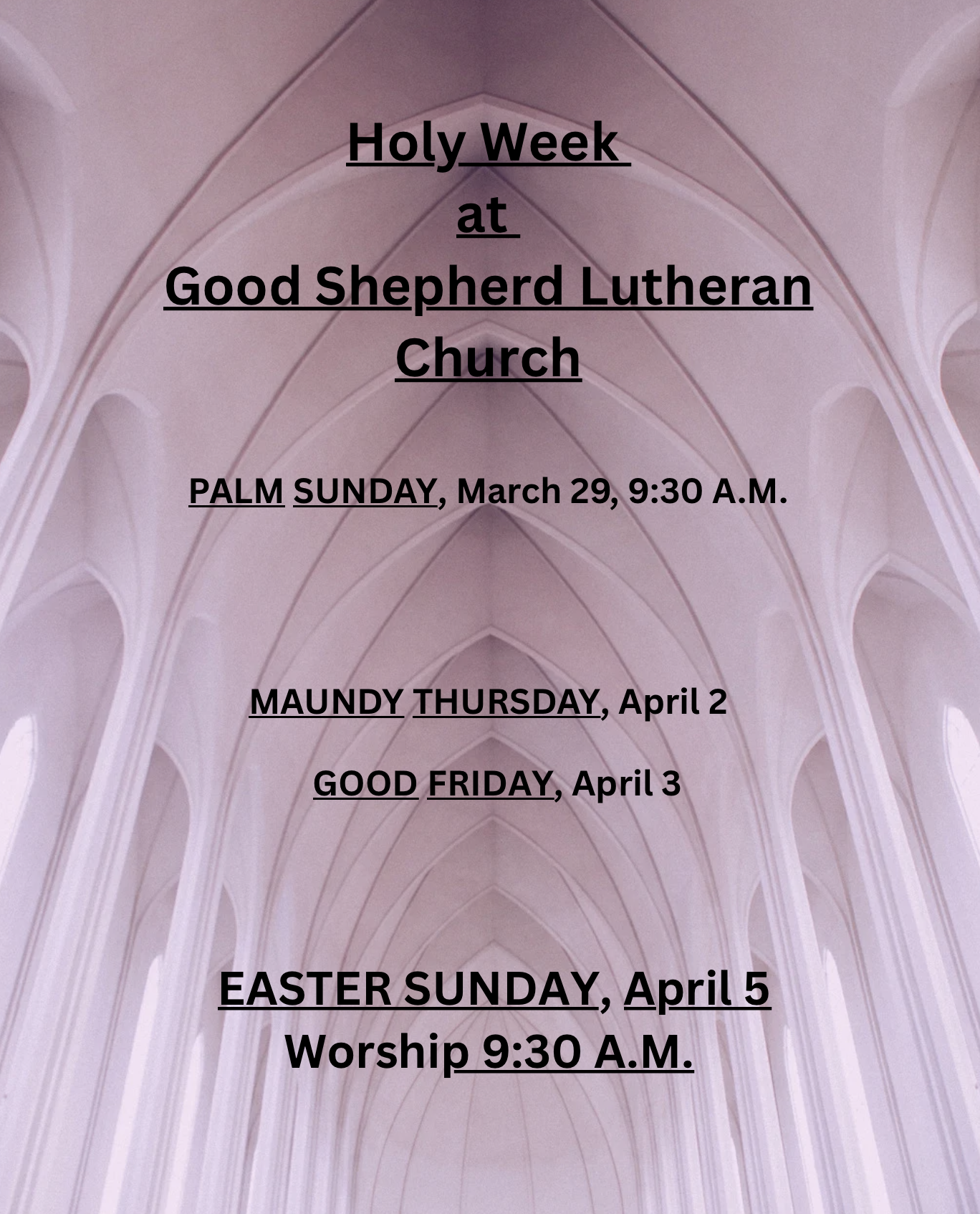 Screenshot 2026-02-18 at 11.29.01 AM